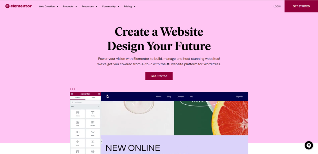schermata principale pagina web elementor